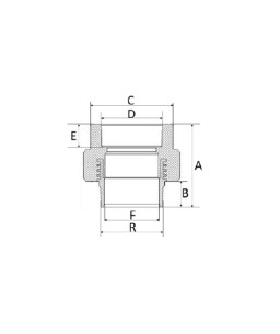 Conector Fêmea/Macho 32mm1” PPR Amanco