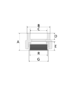 Conector Fêmea/Fêmea 20mm1/2” PPR Amanco